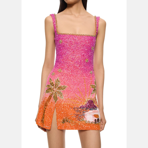 Scenic Mini Dress